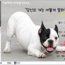 위드펫동물병원 이미지