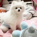 활주로노래방 네이버블로그