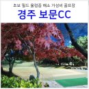 보문골프클럽 | 경주 가성비 골프장 보문 CC 그린피 코스 그늘집 가격 후기