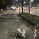 NR-14[청량로]-하-15 | 365일내내 요즘날씨였음 좋겠어요 편