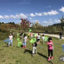 호수공원9 나들숲 이미지