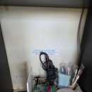 화이트큐브24 | 가평 펜션추천_화이트큐브24 스파펜션(내돈내산)