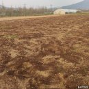 김정태 농장 이미지