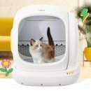 두잉(DOING) | 디클펫 고양이 자동 화장실 두잉 추천 사용 후기 및 장단점 분석