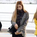로제 이미지
