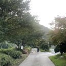 강물소리펜션 이미지