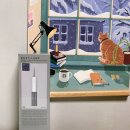 바디랩스 | 휴대용 구강세정기 물치실 워터픽 추천 바디랩스 사용법 후기