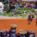 오하루스파펜션 이미지