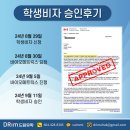 비자드림