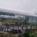 산청쏠라 이미지