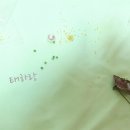 이오비즈 이미지