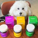 세븐펫 | 애견영양제 추천, 강아지 불안 케어엔? 펫세븐!