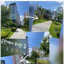포블포블 네이버블로그