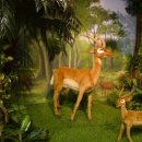 아프리카박물관 이미지