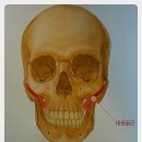 원포인트짐 이미지