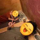 면역공방 이미지