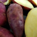 만재농장 이미지