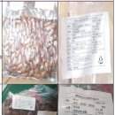 ‘식용 금지’ 중국산 냉동 산누에나방 번데기 판매 중단 및 회수 조치 이미지