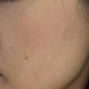 이지로지 | 베이스 밀림 제로! 쿨톤 착붙템, 정샘물 아티스트 쿠션 블러쉬 블러 (로지페탈) 솔직 후기