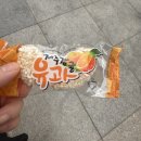 와이즈런 | 2026년 5월 4주 일상