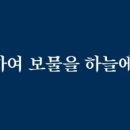 보화구제 네이버블로그