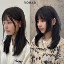 보하비 이미지
