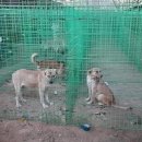 시정농장 이미지