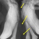 그랜드벳동물병원 이미지