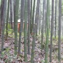 화순 송단 복조리 마을 | 오인교의 전라도누정기행-화순 대명재(大明齋)