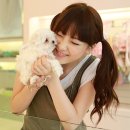 하라