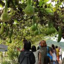 강원한우체험농장 이미지