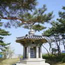 수동관광지 | 영월 강릉사 수동관광지 방문 후기