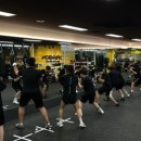 드래곤복싱클럽 백마점 이미지