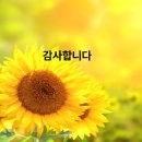 알파행정사 이미지