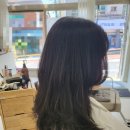 비오아이 이미지