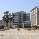 동해-단속-16 이미지