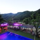 아일랜드코쿤 이미지