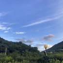 약선흑염소 대구팔공산점 | 대구 팔공산 흑염소 맛집 보양식 추천 '약선흑염소' 대구팔공산점