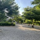 [블로그 포토덤프 챌린지] 경북 봉화 별빛뜰애(愛)캠핑장 후기
