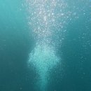 스테이버디 이미지