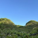 일건농장 이미지