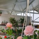 운선농장 이미지