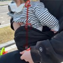 구스켓 | 구스켓 365 내돈내산 솔직후기/사용법