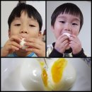 에그린농장 | 자연닮!!동물복지인증 자연방사 유정란