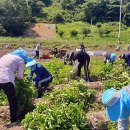 장흥읍 행정복지센터 이미지