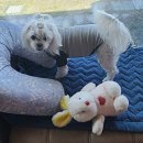 서천파출소 이미지