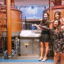 지오메드 이미지