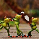 탑휘트니스클럽 이미지