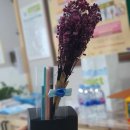 (고창요리농부)전라북도농촌관광연구회 현장견학에 가다