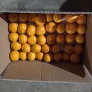 혜윤농장 이미지